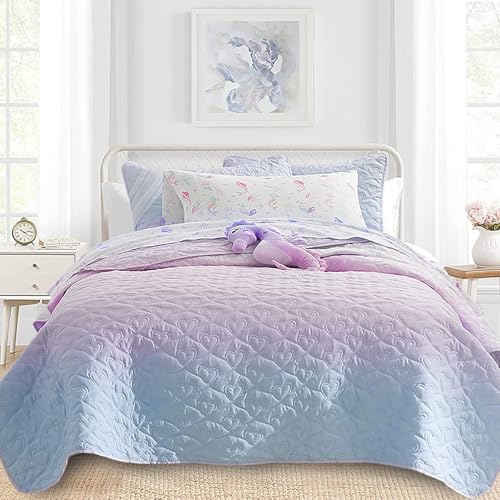 SCHNAUZER HOME Bedspread 220 x 220 cm, Bailey Pattern Printed Bedding Coverlet Set, Lightweight Soft Reversible Bedspread Sets for All Season (1 Quilt & 2 Pillow Shams) von SCHNAUZER HOME