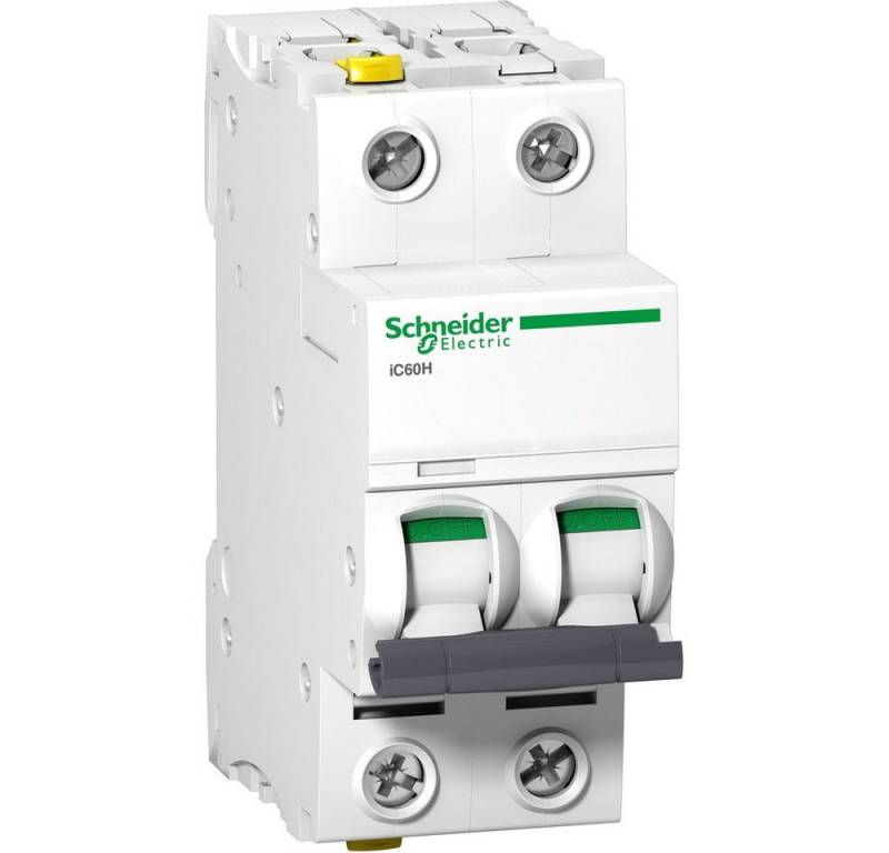 SCHNEIDER Schalter Schneider Electric A9F07202 A9F07202 Leitungsschutzschalter 2 A 4 von SCHNEIDER