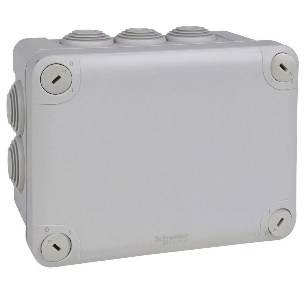 SCHNEIDER Steckdose Schneider Electric ENN05007 Abzweigdose (B x H x T) 165 x 85 x 125 mm von SCHNEIDER