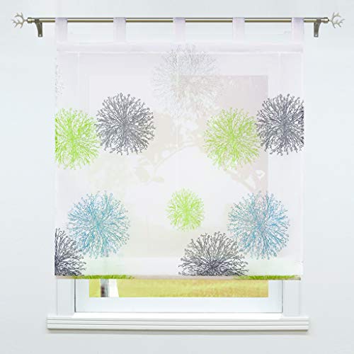 SCHOAL Raffrollo mit Schlaufen Transparente Raffgardine Voile Schlaufenrollo Modern Bändchenrollo 1 Stück BxH 80x150cm Grün von SCHOAL