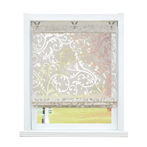 SCHOAL Raffrollo ohne Bohren Raffgardinen Ausbrenner Gardinen Transparent Ösenrollo Vorhänge mit Ösen 1 Stück BxH 80x130 cm Sand von SCHOAL
