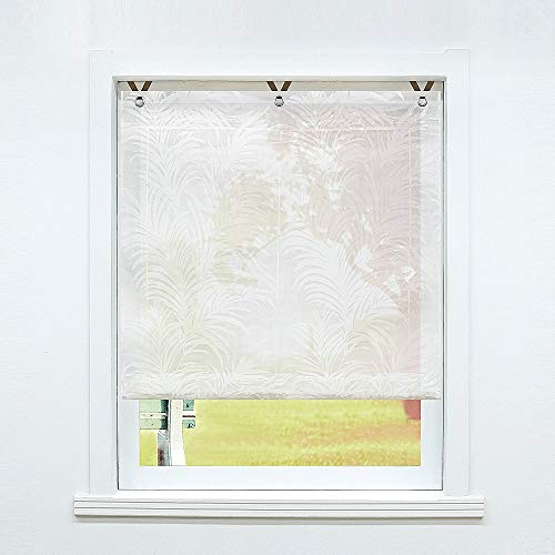 SCHOAL Raffrollo ohne Bohren Raffgardinen Ausbrenner Gardinen Transparent Ösenrollo Weiß Vorhänge mit Ösen 1 Stück BxH 120x130 cm Muster #2 von SCHOAL