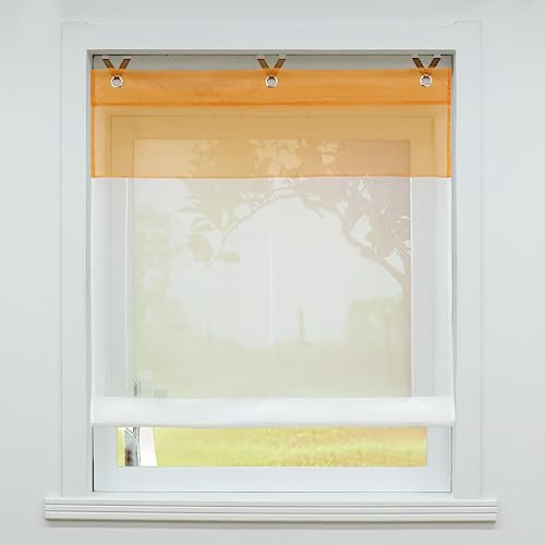 SCHOAL Raffrollo ohne Bohren Raffgardinen mit Ösen Ösenrollo Modern Küche Gardinen Wohnzimmer Vorhänge Transparent BxH 80x165cm 1 Stück Orange von SCHOAL