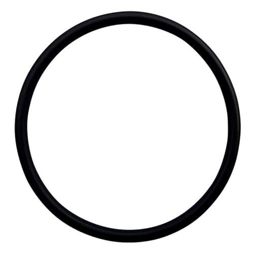 SCHÜTZ Flanschdichtung EPDM für Klappenhahn S75x6 (75mm) mit Kunststoff-Flansch von SCHÜTZ