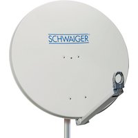 SCHWAIGER Spiegel, hellgrau RAL7035, Alu von SCHWAIGER