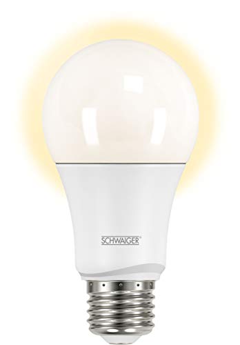 SCHWAIGER hal100 – LED-Lampe (warmweiß, silber, weiß) von SCHWAIGER