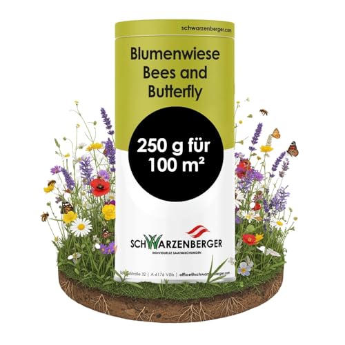 Samen Schwarzenberger I Mehrjährige Blumenwiese I 250 g für 100 m² I Samenmischung mit über 30 Arten I bestäuberfördernd & anpassungsfähig I für Schmetterlinge & Bienen von SCHWARZENBERGER INDIVIDUELLE SAATMISCHUNGEN