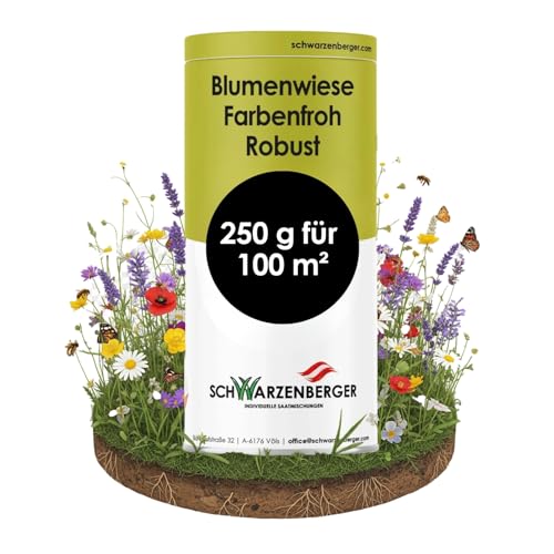 Samen Schwarzenberger I Mehrjährige Blumenwiese I 250 g für 100 m² I schnell blühend & niedrigwachsend I farbenprächtig & trockenresistent I robuste Samenmischung für Schatten & magere Böden Samen Schwarzenberger I Mehrjährige Blumenwiese I 250 g für 100 m² I schnell blühend & niedrigwachsend I farbenprächtig & trockenresistent I robuste Samenmischung für Schatten & magere Böden von SCHWARZENBERGER INDIVIDUELLE SAATMISCHUNGEN