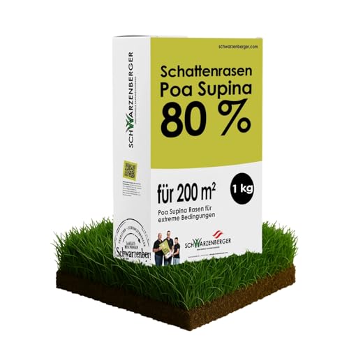 Samen Schwarzenberger I Poa Supina Rasensamen I 1 kg für 200 m² I 80% Poa Supina Anteil I für schattige & stark beanspruchte Flächen I dichte Grasnarbe I Schattenrasen Samen Schwarzenberger I Poa Supina Rasensamen I 1 kg für 200 m² I 80% Poa Supina Anteil I für schattige & stark beanspruchte Flächen I dichte Grasnarbe I Schattenrasen von SCHWARZENBERGER INDIVIDUELLE SAATMISCHUNGEN