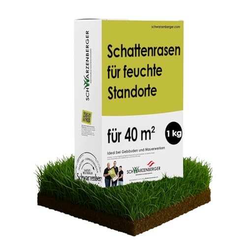Samen Schwarzenberger I Schattenrasen für feuchte Standorte I 1 kg für 40 m² I strapazierfähig & stresstolerant I hohe Toleranz gegenüber Bodenfeuchte Samen Schwarzenberger I Schattenrasen für feuchte Standorte I 1 kg für 40 m² I strapazierfähig & stresstolerant I hohe Toleranz gegenüber Bodenfeuchte von SCHWARZENBERGER INDIVIDUELLE SAATMISCHUNGEN