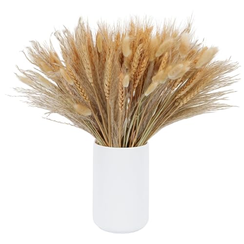 SCLLNDA 190PCS Trockenblumen Weizen Natürliche Getrocknet Blumen Pampasgras Klein Getrocknetes Schilfgras 41cm Pampas Gras für Hochzeit Hause Party Wedding Büro Fotografie Vase Deko von SCLLNDA