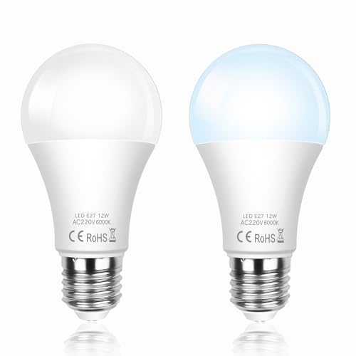 SCNNC LED Lampe mit Tageslichtsensor E27 12W, 1200LM Kaltweiß 6000K, Ersetzt 100-120Watt, Automatisch Ein/Aus LED Glühbirne E27 mit Dämmerungssensor für Korridor Garten Patio Veranda, 2 Stück von SCNNC