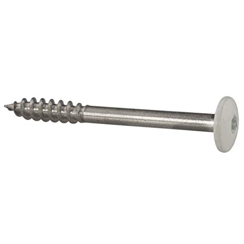 Fassadenschrauben 5,5 x 55 mm - RAL 9010 - Reinweiß TX20-200 Stück Edelstahl A4 von SCREW REBEL