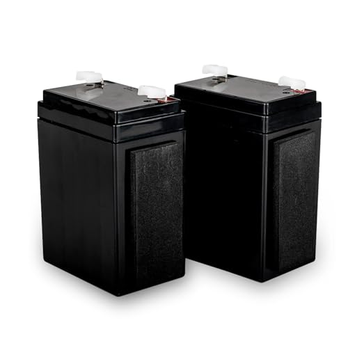 SCS Sentinel, AAM0139, 2er-Pack Backup-Batterien 2,2AH 12/24V (für Modelle 2), BatteryGate 2 von SCS Sentinel