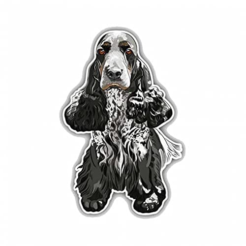 SCSHY Auto-Aufkleber 7.9Cmx12Cm Cocker Spaniel Farbiger PVC Hochwertiger Autoaufkleber SCSHY Auto-Aufkleber 7.9Cmx12Cm Cocker Spaniel Farbiger PVC Hochwertiger Autoaufkleber von SCSHY