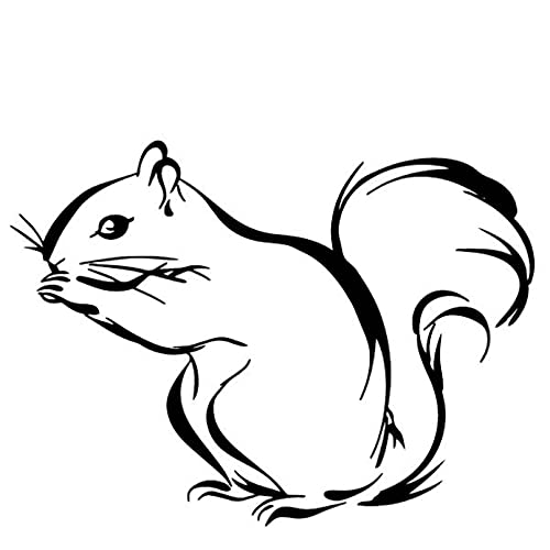 SCSHY Auto-Aufkleber Persönlichkeit Niedliche Eichhörnchen Auto Aufkleber Autos Motorräder Außenzubehör Vinyl Aufkleber SCSHY Auto-Aufkleber Persönlichkeit Niedliche Eichhörnchen Auto Aufkleber Autos Motorräder Außenzubehör Vinyl Aufkleber von SCSHY