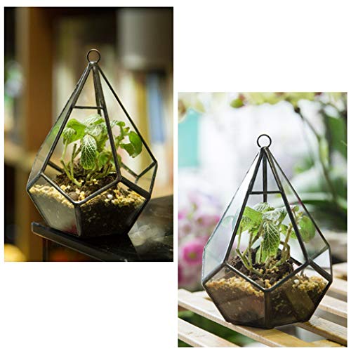 Hängendes Glas-Terrarium, modern, künstlerische Wandträne, geometrische Polyh-Blumentöpfe, für den Außenbereich, groß von SCUDGOOD