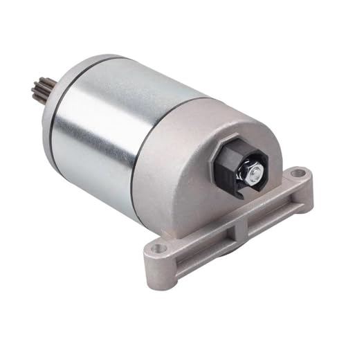 Für Grizzly 700 2009-2022 2011 2013 2015 Für Kodiak 700 2016-2022 2020 2021 Motorrad Starter Motor 28P-81890-00-00 28P-81890-01-00 Motorrad von SCUUBE
