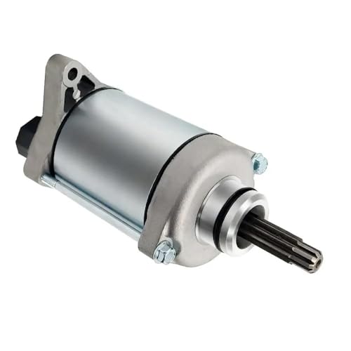 Für Hon&da ATV TRX420FA FourTrax Rancher ZU 420CC 2009 TRX420FE FourTrax Rancher 4X4 420CC 2007-2009 Motorrad Starter Motor 31200-HP5-601 31200HR0F01 Motorrad von SCUUBE