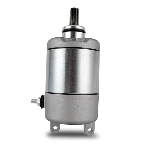 Für Hon&da XR250LS7 XR250LS 2007 XR250LS8 XR250LS 2008 XR250LSC3 XR250 TORNADE LSC 2003 Motorrad Starter Motor 31200-KPF-851 31200-KW3-018 31200-KBR-008 Motorrad von SCUUBE