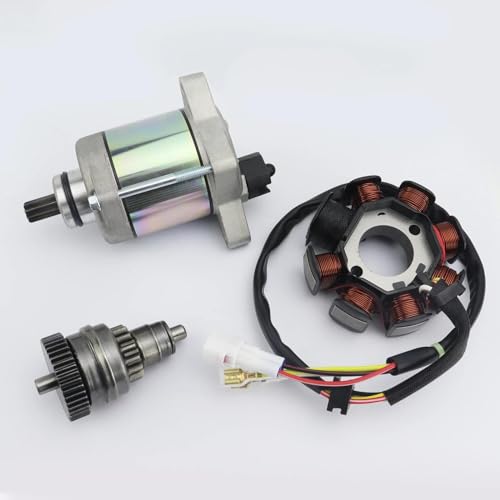 Für K&T&M Offroad 250 XC 250 XC-W 300 XC 300 XC-W 300 XC-W SIX DAYS 250 EXC 250 EXC SIX-DAYS 2017 Motorrad-Startermotor 55440001000 55540001000 Motorrad von SCUUBE