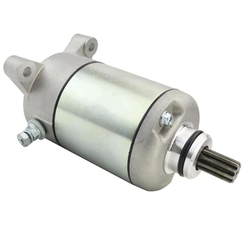Für Polaris Magnum 425 4x4 Magnum 425 2x4 1995-1998 Magnum 330 4x4 2003-2006 Motorrad Starter Motor 41054020R 410-54020 18645N Motorrad von SCUUBE