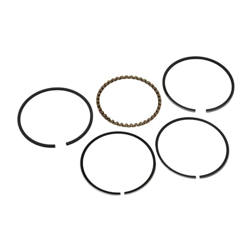 39-mm-Kolbensatz passend for GX31 GX35 GX35NT UMK431 UMT431 UMK435 HHT35S Freischneider 13010-ZM5-000 39-mm-Kolbensatz passend for GX31 GX35 GX35NT UMK431 UMT431 UMK435 HHT35S Freischneider 13010-ZM5-000 von SCVYLNZ