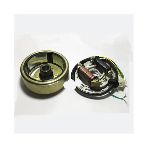 Passend for AX 100 Zweitakt-AX100-Stator-Rotor-Baugruppe Generator(Rotor and Coil) von SCVYLNZ