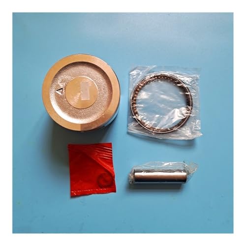 SCVYLNZ Kolbensatz 60 mm passend for GXV120 118 CC 4-Takt 4 PS Vertikalwelle HR194 214 215 Mähzylinderringsatz Stiftclip-Baugruppe SCVYLNZ Kolbensatz 60 mm passend for GXV120 118 CC 4-Takt 4 PS Vertikalwelle HR194 214 215 Mähzylinderringsatz Stiftclip-Baugruppe von SCVYLNZ
