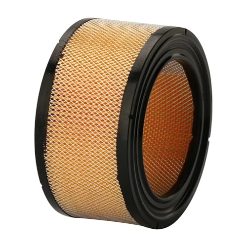 SCVYLNZ Luftfilter Ersatz Fit for 231847-S 234869S AM30800 140-1188 Garten Werkzeug Filter Reiniger(2PCS) von SCVYLNZ