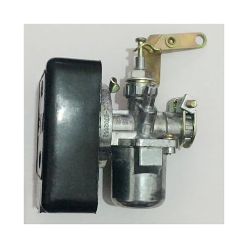SCVYLNZ VERGASER Passend for PZ11J 1E40F 1E45F 1E46F 3WF18 Duster(Indigo) von SCVYLNZ