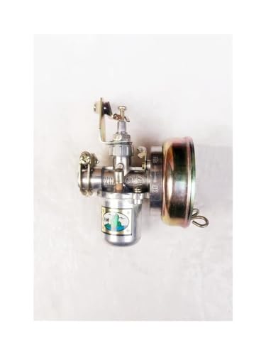 SCVYLNZ VERGASER Passend for PZ11J 1E40F 1E45F 1E46F 3WF18 Duster(Silver) von SCVYLNZ