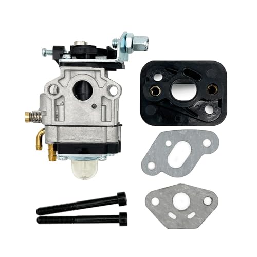Zubehör for Freischneider, 10 mm Vergaser mit Schraube, Rohr und Dichtung, passend for Grasschneidermotor 36F von SCVYLNZ
