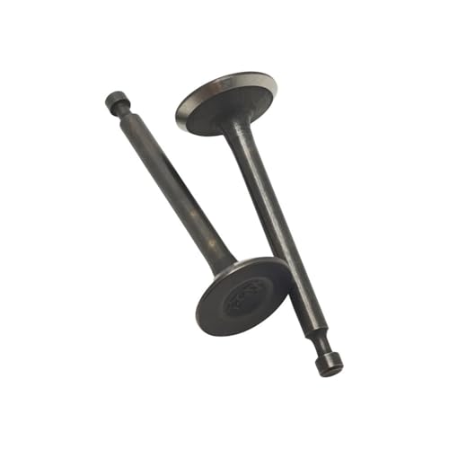 & Set Fit for GX35 GX35NT Motor HHT35S UMK435 Freischneider Teile 14721-Z0Z-800 von SCVYLNZ