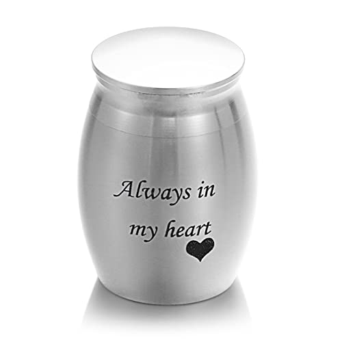 SCZMBLTLNV Urne Für Haustiere 1Pc Mini Memorial Urne Aluminiumlegierung Gewindedeckel Pet Urnen Geliebte Pet Andenken Bestattungsurne(5,L) von SCZMBLTLNV