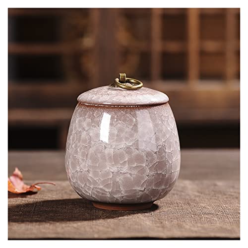 SCZMBLTLNV Urne Für Haustiere Pet Urn for Dogs Cats Ashes Keepsake Memorial Box Funeral Set Burial Urns for Cremated Remains Ash Vial Adult Funeral Urn Pet Cat and Dog Urn 73251(G,M) von SCZMBLTLNV