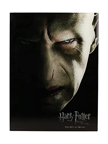 Harry Potter - Impression en Verre - Voldemort Face- 30X40 cm von SD TOYS