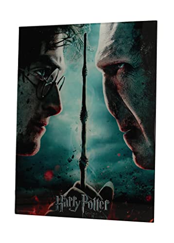 SD toys Poster Harry Potter und Voldemort, mehrfarbig, 41 x 31 x 3 cm von SD TOYS