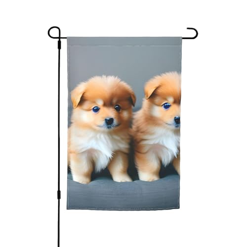 Pomeranians Puppies And Point 1 Druck, 30,5 x 45,7 cm, florale Gartenflagge, Ganzjahresdekoration, für den Außenbereich, dick, für Rasenflaggen Pomeranians Puppies And Point 1 Druck, 30,5 x 45,7 cm, florale Gartenflagge, Ganzjahresdekoration, für den Außenbereich, dick, für Rasenflaggen von SDFHU