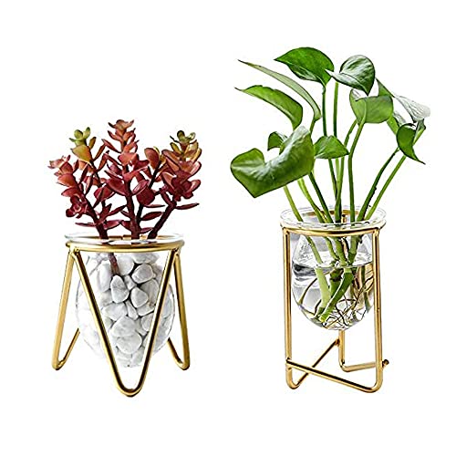 2 Stücke Hydrokultur Pflanzen Vase, Vermehrungsstation Vase, Reagenzglas Vase, 2 Spezifikationen, Verwendet um Grüne Pflanzen auf Desktop zu Platzieren von SDFSD