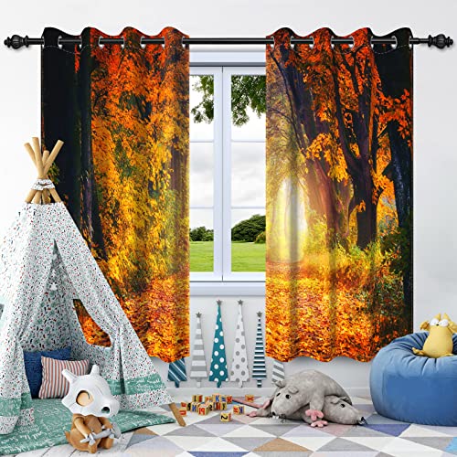 SDOTPMT 117x138cm Herbst Wald Landschaft Fenster Vorhang Natur und verzauberte Hölzer Wilde Bäume Herbst Saison Fenster Behandlung für Schlafzimmer Dekor Verdunkelung Vorhänge, 2 Platten von SDOTPMT