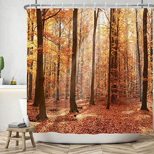 SDOTPMT 180x180cm Herbst Wald Duschvorhang Fall Blatt Pflanze Fall Foto im Nationalpark Badewanne Vorhang Land Herbst Badewanne Vorhang für Badezimmer Dekor mit Haken von SDOTPMT