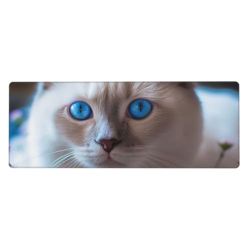 Großes Mauspad, Schreibtischunterlage, wasserdicht, blaue Augen, Katze, Gaming-Mauspad mit genähten Kanten, 80 x 30 cm, rutschfeste Schreibtischunterlage für den Schreibtisch, Schreibunterlage für von SDTYKHJ
