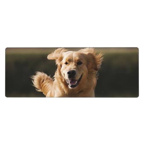 Großes Mauspad, wasserdichte Schreibtischunterlage, Golden Retriever, Laufen, Gaming-Mauspad mit genähten Kanten, 80 x 30 cm, rutschfeste Schreibtischunterlage für den Schreibtisch, Schreibunterlage von SDTYKHJ