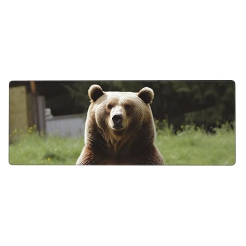 Großes Mauspad, wasserdichte Schreibtischunterlage, Hi-Bär, sitzt auf dem Rasen, Gaming-Mauspad mit genähten Kanten, 80 x 30 cm, rutschfeste Schreibtischunterlage für den Schreibtisch für Büro von SDTYKHJ