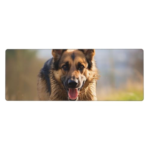 Großes Mauspad, wasserdichte Schreibtischunterlage, Laufender Schäferhund, Gaming-Mauspad mit genähten Kanten, 80 x 30 cm, rutschfeste Schreibtischunterlage für den Schreibtisch für Büro von SDTYKHJ