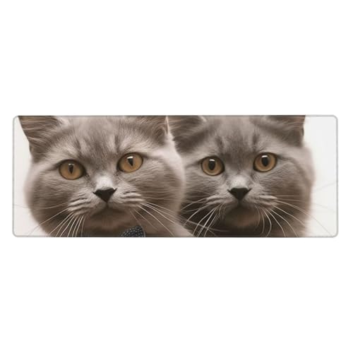 Großes Mauspad, wasserdichte Schreibtischunterlage, lustige Katzen, Gaming-Mauspad mit genähten Kanten, 80 x 30 cm, rutschfeste Schreibtischunterlage für den Schreibtisch, Schreibunterlage für Büro von SDTYKHJ