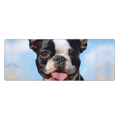 Großes Mauspad, wasserdichte Schreibtischunterlage, schöner Boston Terrier, Gaming-Mauspad mit genähten Kanten, 80 x 30 cm, rutschfeste Schreibtischunterlage für den Schreibtisch, Schreibunterlage für von SDTYKHJ