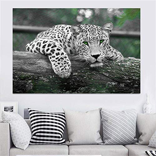 Leopard Bilder Grüne Augen Schwarz-weiß Tier Leinwand Malerei Poster und Drucke Room Home WildLife Wandkunst70x100cm (70x100cm) Kein Rahmen von SDVIB