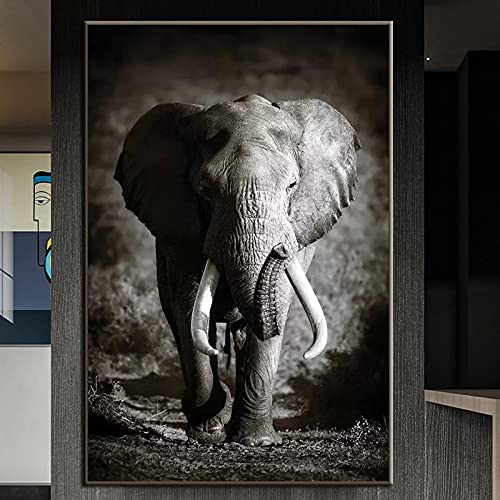 Tier Kunst Poster Moderner Schwarz-Weiß-Elefant Leinwand Gemälde Drucke Wandbild Für Zuhause Wohnzimmer Dekorativ 60x80 cm Rahmenlos von SDVIB